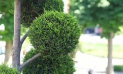 HotelAussenanlage7219