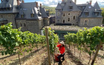 Mosel
Fotos: Inna Hemme